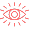 Vision Icon